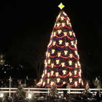 Alberi di Natale