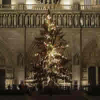 Alberi di Natale