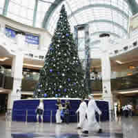 Alberi di Natale