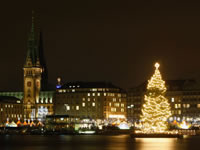 Alberi di Natale
