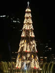 Albero natale