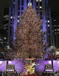 Immagini albero natale